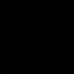 Meet your Posher, Brooklynn